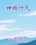 神婿叶凡小说全文免费阅读