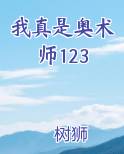 我真是奥术师123小说下载
