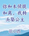 你和本侯提和离，我转头娶公主免费小说