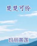 楚楚可怜在线阅读无弹窗