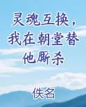 灵魂互换，我在朝堂替他厮杀