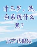 才三岁，洗白系统什么鬼？免费听书