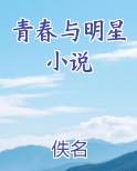 青春与明星小说