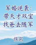 军婚逆袭：带天才双宝找爸去随军