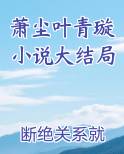 萧尘叶青璇小说大结局