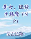 普女，但转生魅魔（NP）