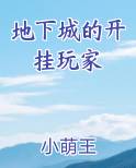 地下城的开挂玩家