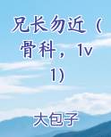 兄长勿近（骨科，1v1）