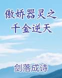 傲娇器灵之千金逆天