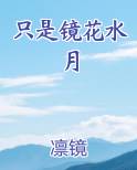 只是镜花水月