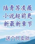 陆青苏凌薇小说超前更新最新章节