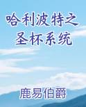 哈利波特之圣杯系统小说免费阅读