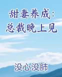 甜妻养成：总裁晚上见