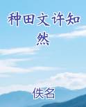 种田文2020