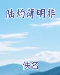 陆灼薄明非