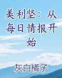 美利坚：从每日情报开始排行榜完结版