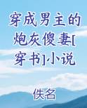 穿成男主的炮灰傻妻[穿书]小说