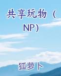 共享玩物（NP）