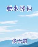 触目惊心百度汉语