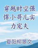 穿越时空强悍小哥儿实力宠夫