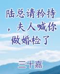 陆总请矜持，夫人喊你做婚检了