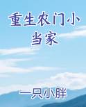 重生农门小当家